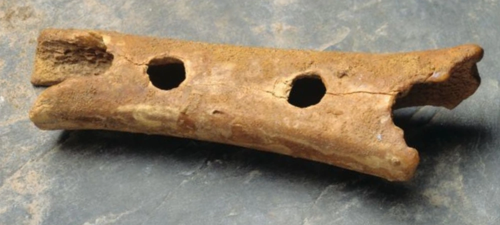 O Vencedor Arqueológico A Flauta Primitiva